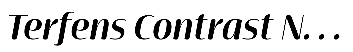 Terfens Contrast Norm Bold Italic